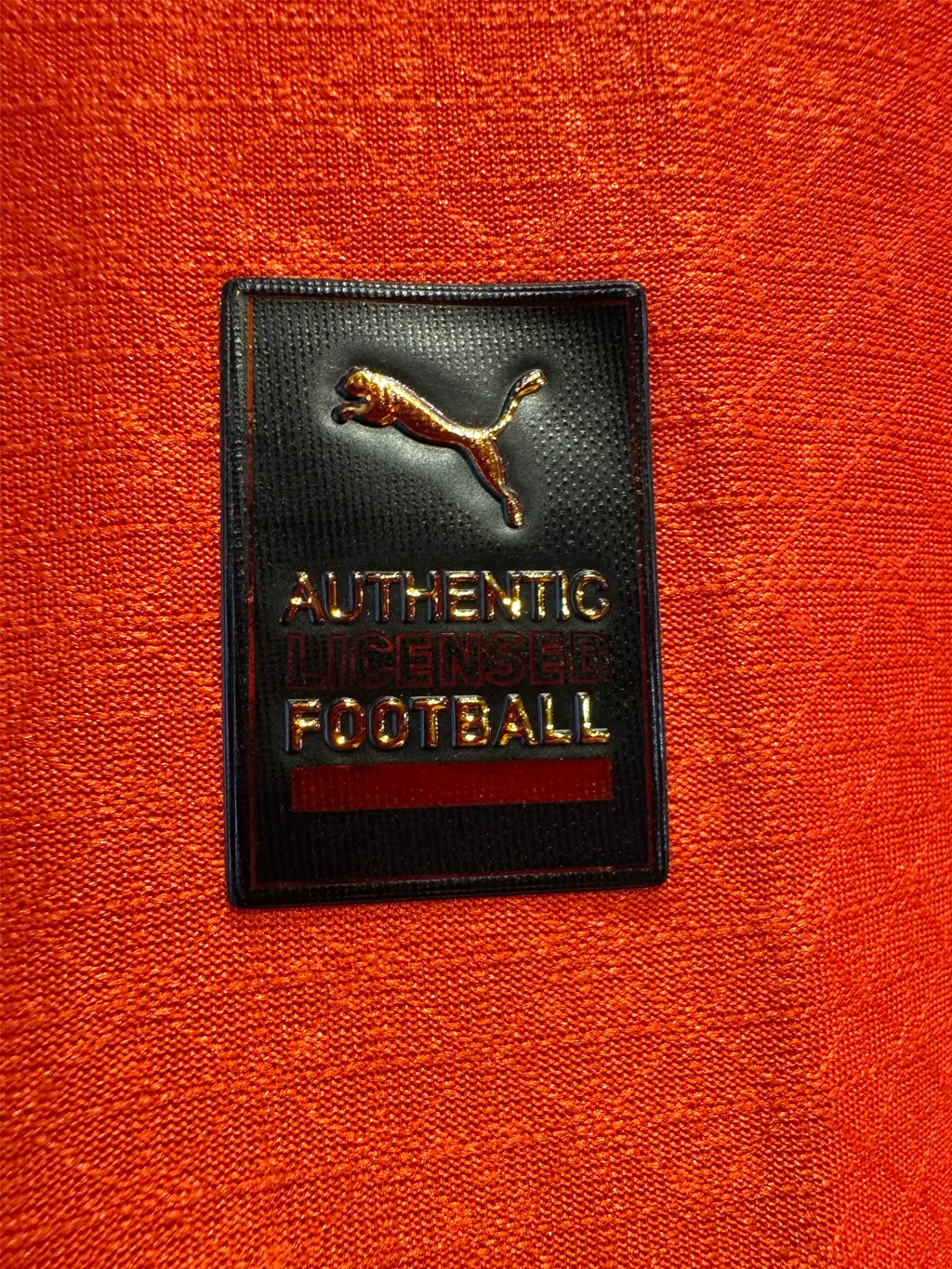 (Fan) Camiseta Portugal Local Puma 25/26