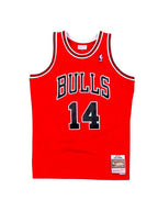 Camiseta Chicago Bulls Hodges 14 1990-91