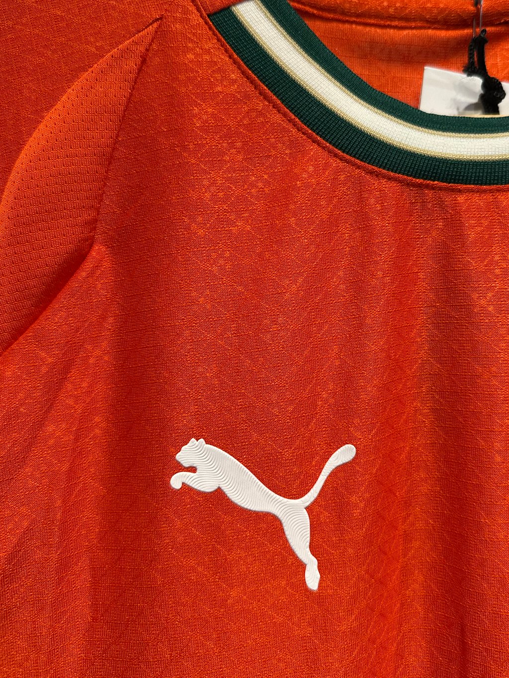 (Fan) Camiseta Portugal Local Puma 25/26
