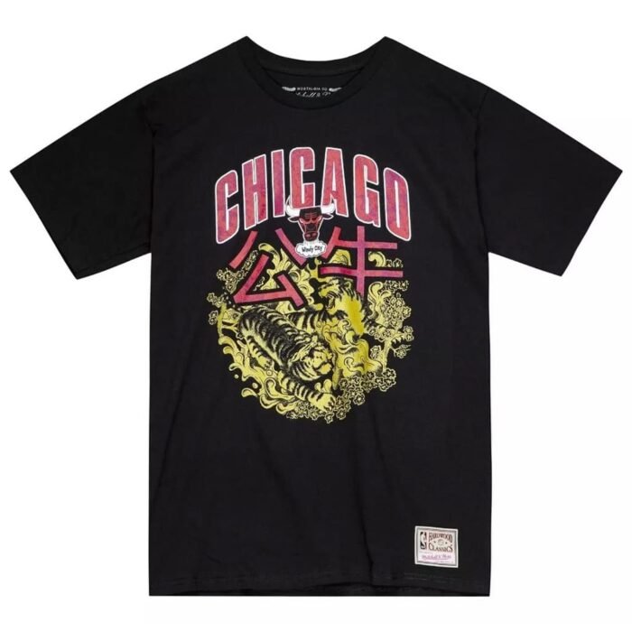 Remera Chicago Bulls C Asian Heritage