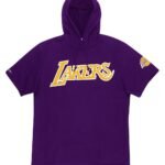 Mitchell & Ness Los Angeles Lakers Gameday Short Sleeve NBA Hoodie